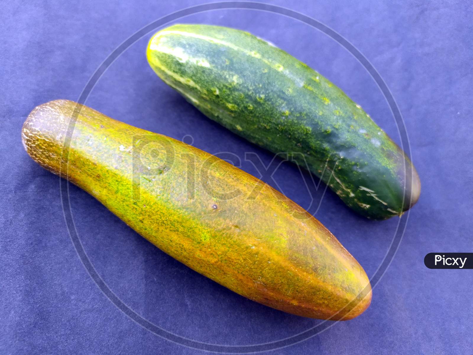a fresh healthy cucumber isolated on seem less background