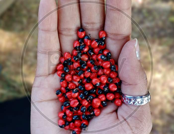 Chirmi Beads