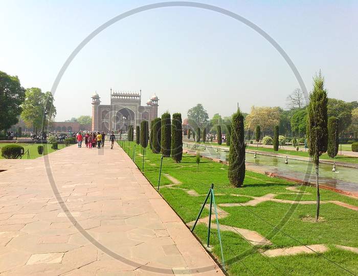 Scenic beauty view of Agra India natural Trees