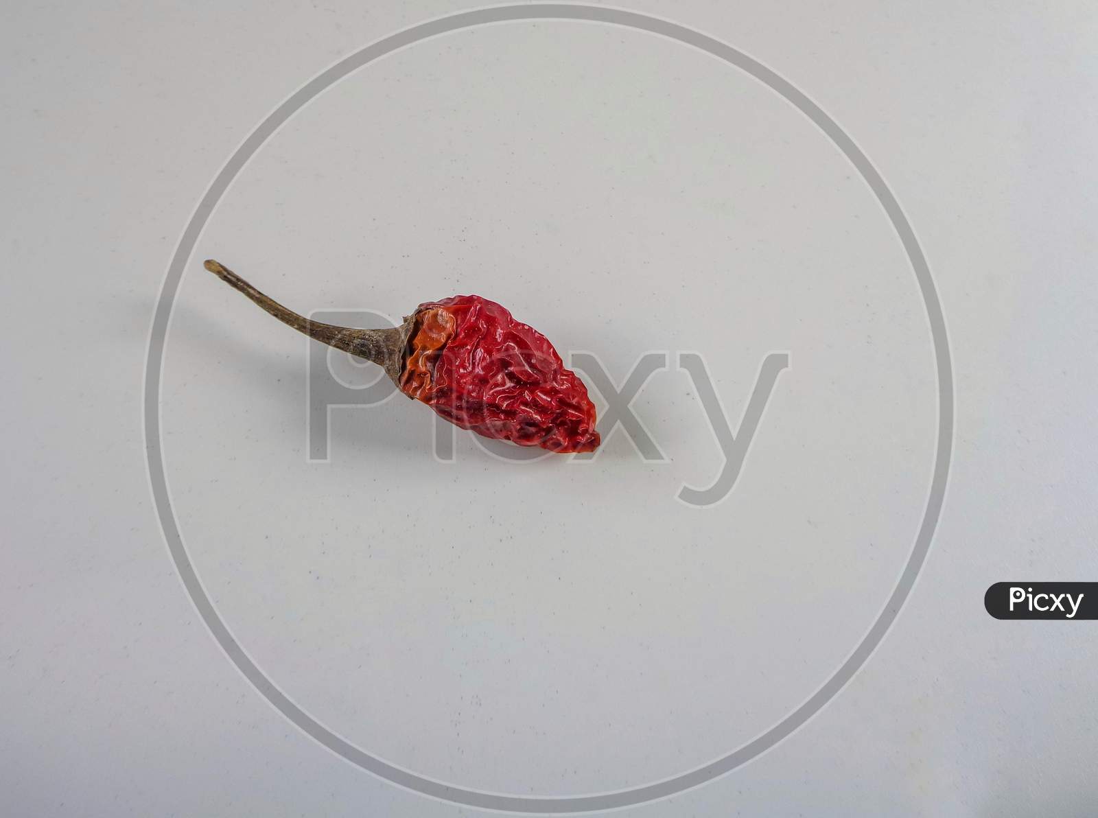 A dry red chilli isolated in white background