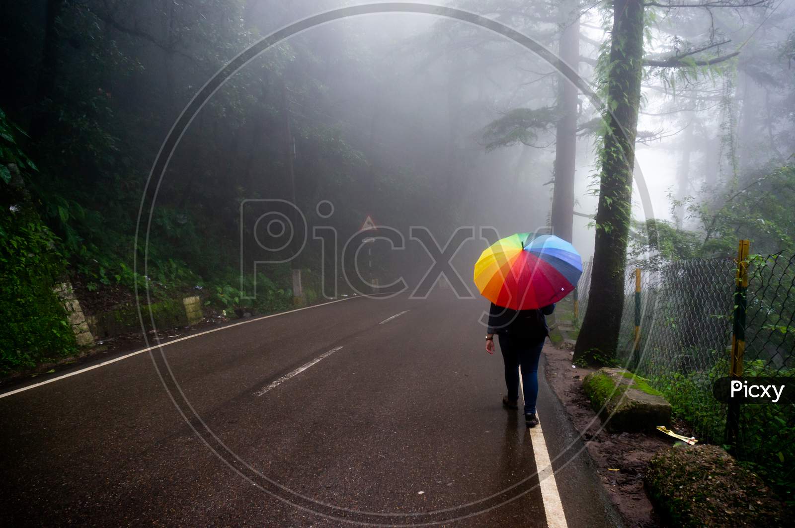 Young Indian Girl Walking With A Colorful Umbrella On A Foggy Hill Side Street