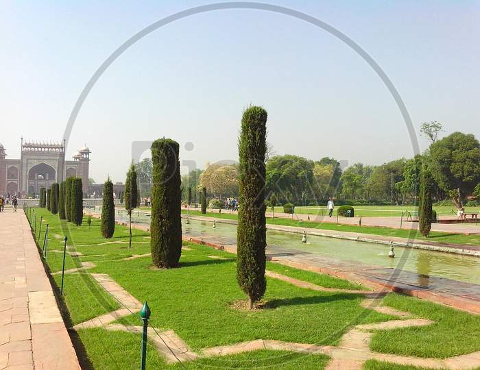 Scenic beauty view of Agra India natural Trees