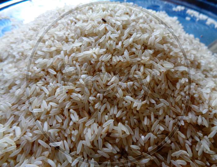 Thick rice cultivated in Bangladesh