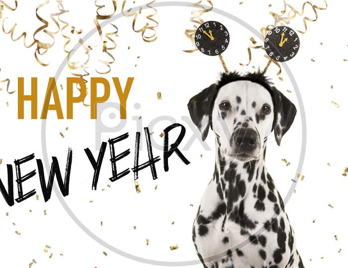 Portrait Of A Pretty Dalmatian Dog Wearing A New Year Diadem Looking At The Camera On A White Background With Golden Party Garlands And Text Happy New Year