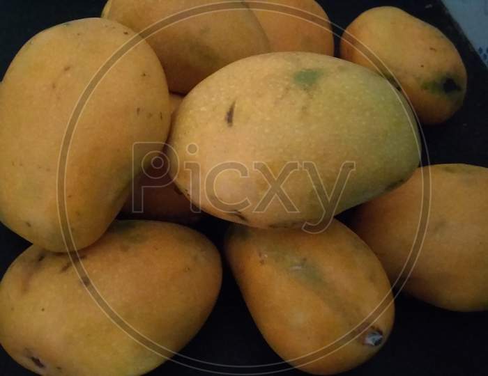 Testy Indian mango