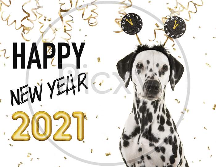Portrait Of A Pretty Dalmatian Dog Wearing A New Year Diadem On A White Background With Golden Party Garlands And Text Happy New Year 2021