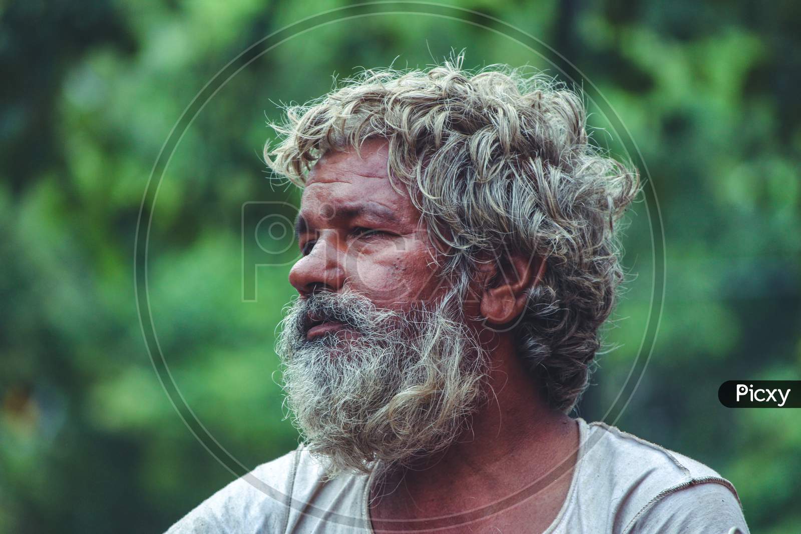 New Delhi, Delhi/ India- May 31 2020:A Portrait Of An Old Man With Long Grown Hair And White Beard