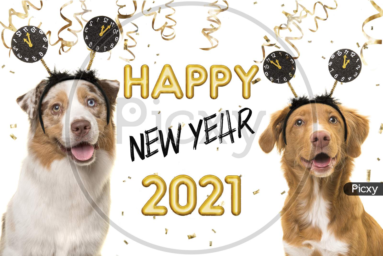 Portrait Of Two Happy Dogs Wearing A New Year Diadem On A White Background With Golden Party Garlands And Text Happy New Year 2021