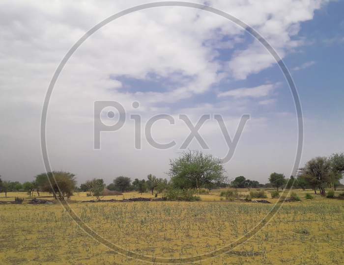 Empty Field Without Crop And With Weed And Cloudy Sky In India