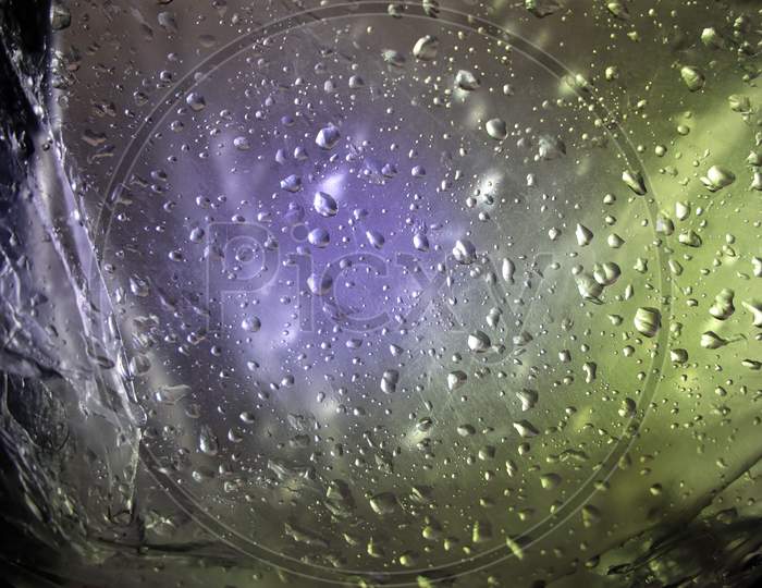 Water droplets after rainfall