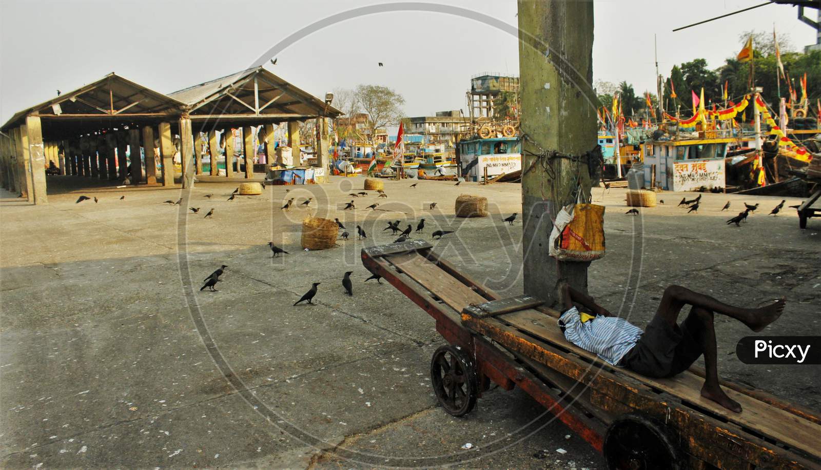 A man is seen sleeping on the cart at the deserted Sassoon Docks(Fish market) after the extension of the 21- day nationwide lockdown to limit the spreading of coronavirus disease (COVID-19) in Mumbai, India, on April 15, 2020.