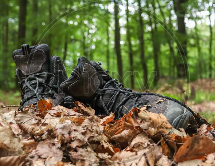 Hiking Boots In The Woods