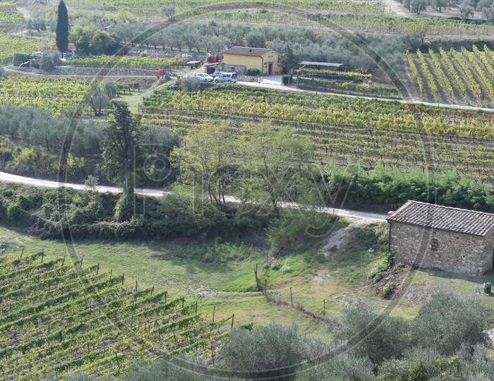 The airy view of the vineyard in Tuscany Italy
