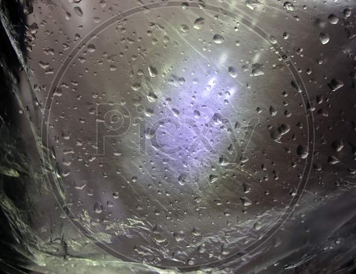 Water droplets after rainfall