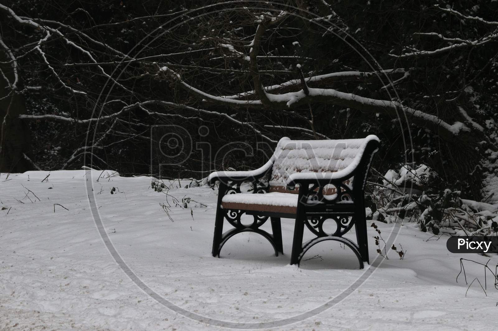 Bench in the Snow