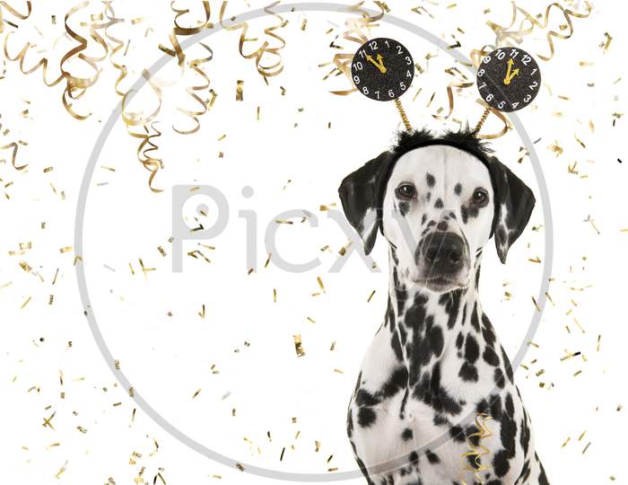 Portrait Of A Pretty Dalmatian Dog Wearing A New Year Diadem Looking At The Camera On A White Background With Golden Party Garlands