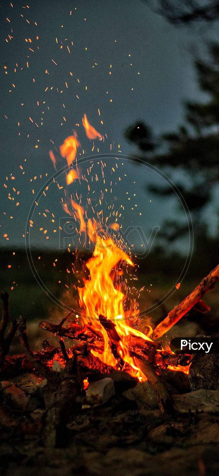 Burning firewood during night at an outdoor camp