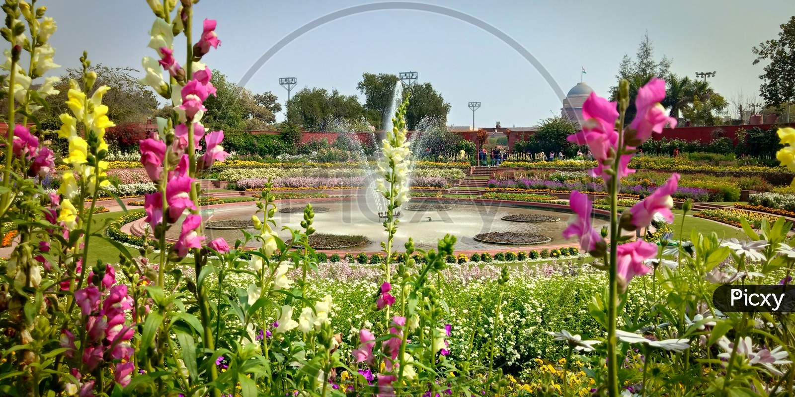 Colorful flowers with back side fountain