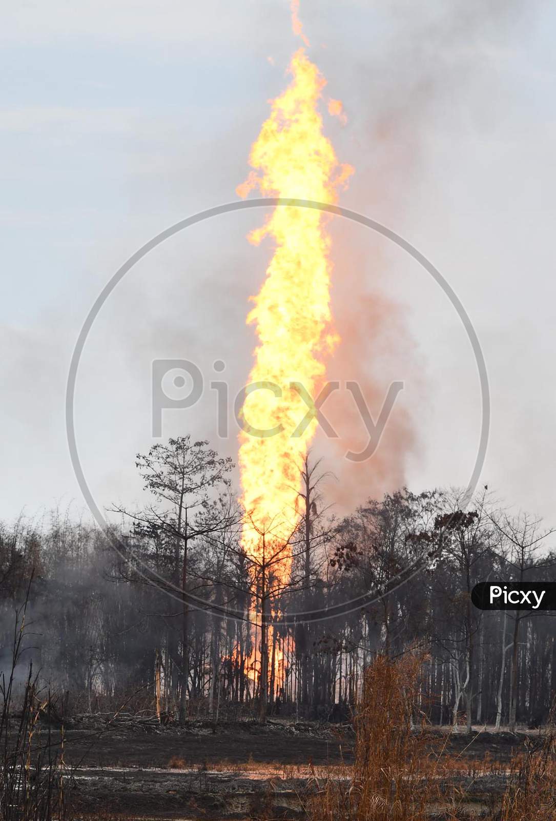 Flames And Smoke Come Out From A Well Run By State-Owned Oil India In Tinsukia District Of Assam On June 10,2020.