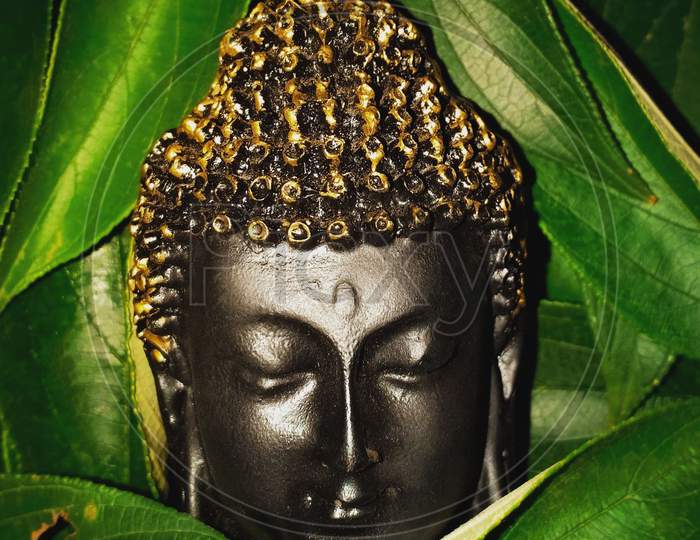 Buddha in meditation amidst nature