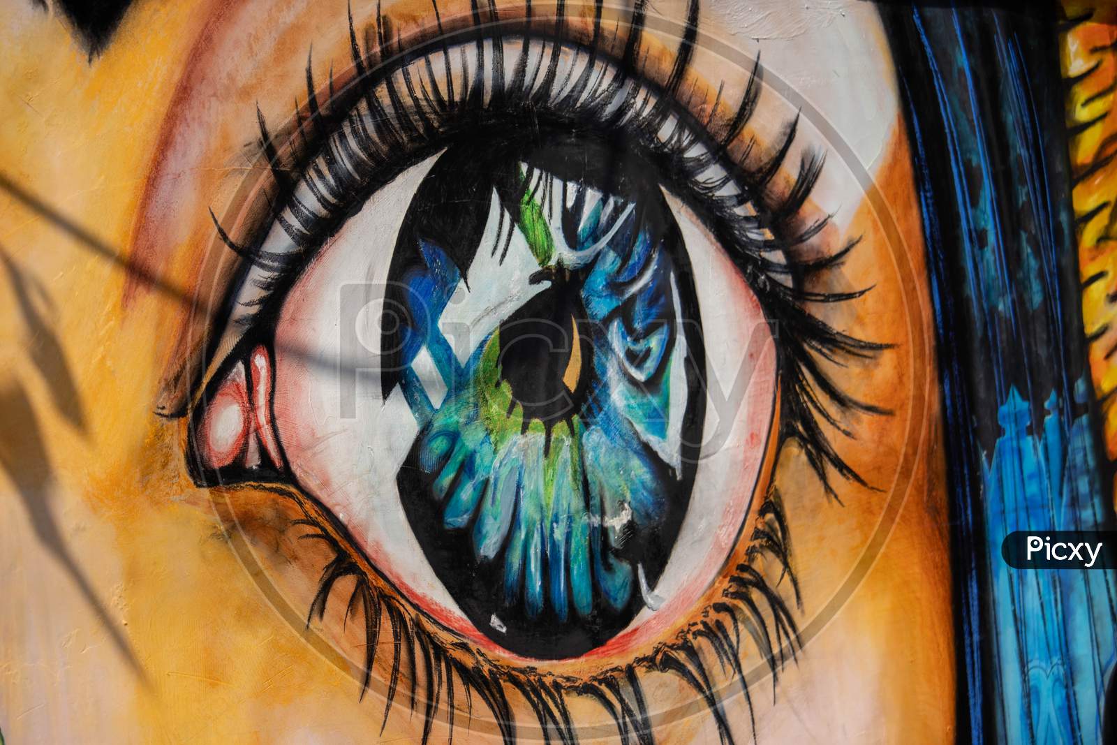 The Eye | Wall Art