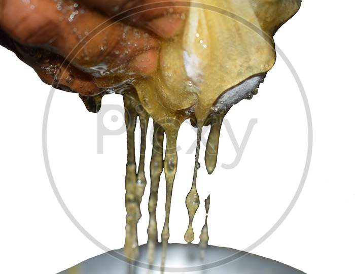 Collecting Honey From Honeycomb With White Background