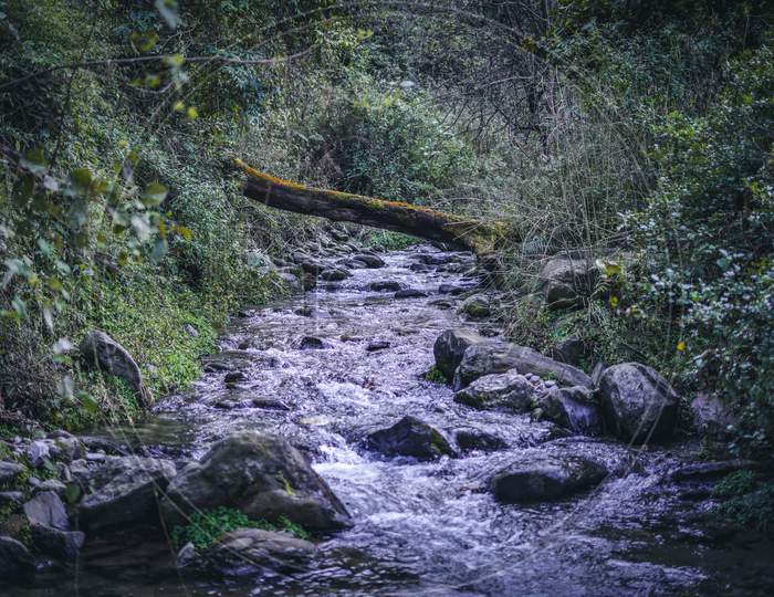 Great Photo Of A River With Running Water Through A Improvised Wooden Bridge Of Broken Trees Over Stream In The Early Spring Forest.