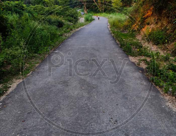 Indian village road