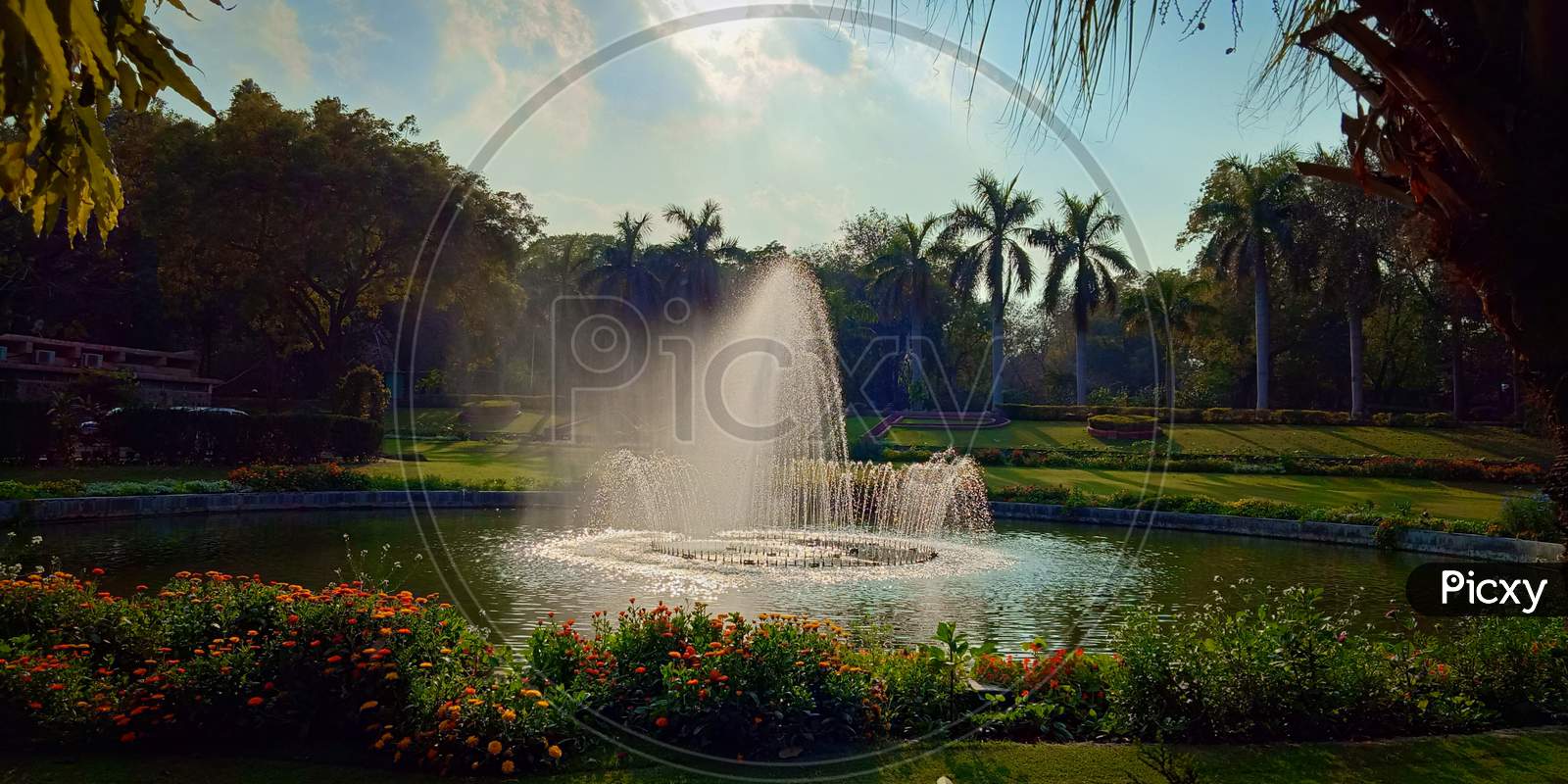 Beautiful park with beautiful fountain blue sky trees flower