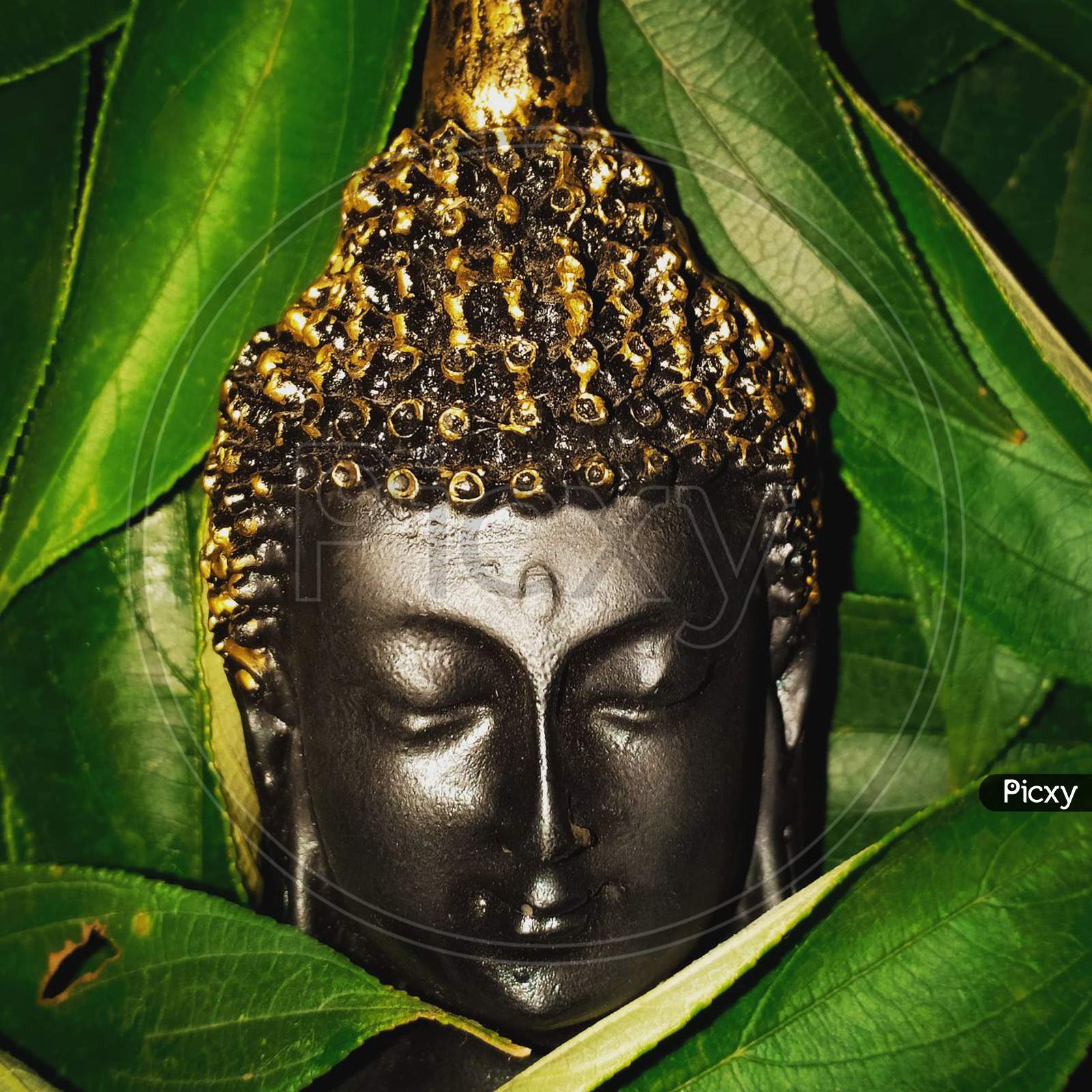Buddha in meditation amidst nature