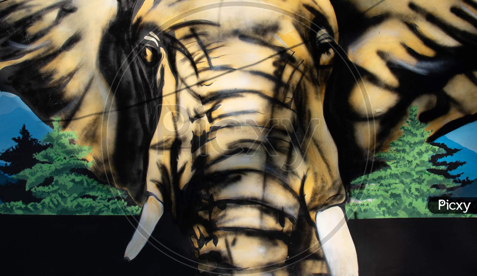 Elephant | Wall Art