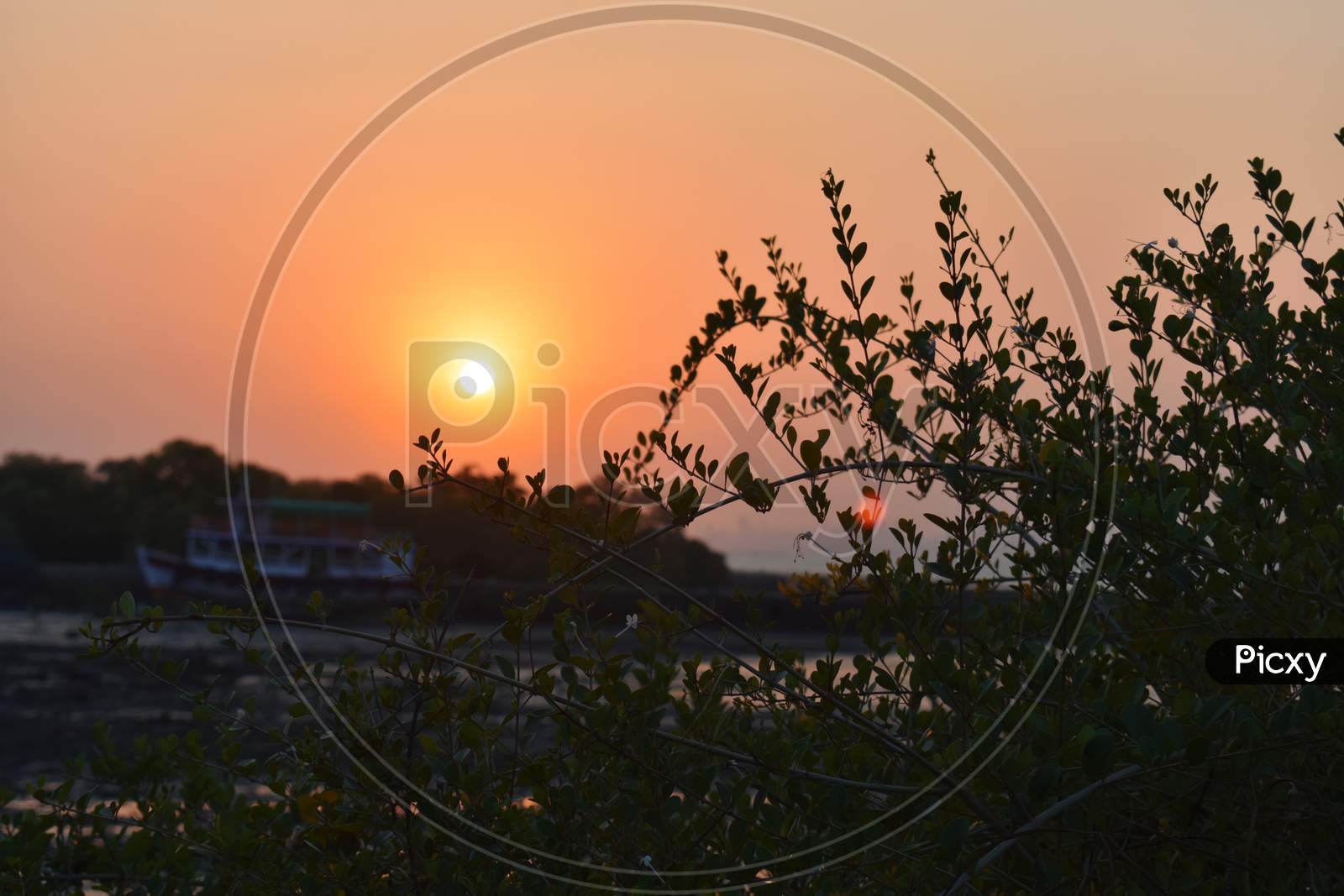 Silhouette Image Of Bushes Near A Sea Port Captured During Sunset.