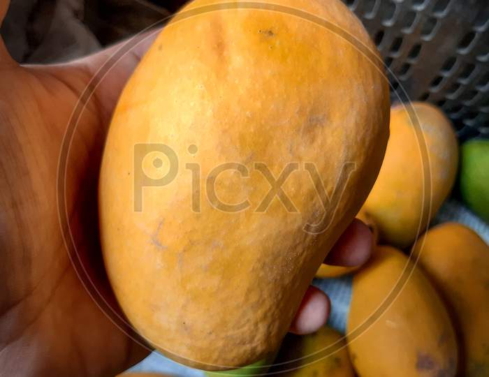 Fresh yellow mangoes in the market