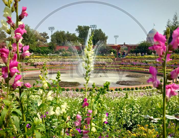 Colorful flowers with back side fountain