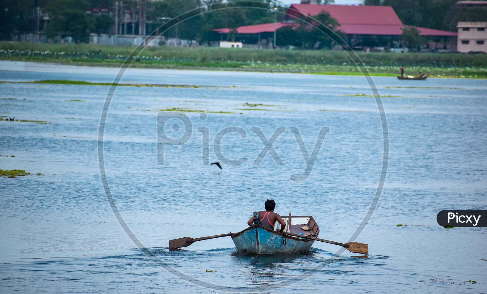 A fisherman driving a boat in the pond filled with water