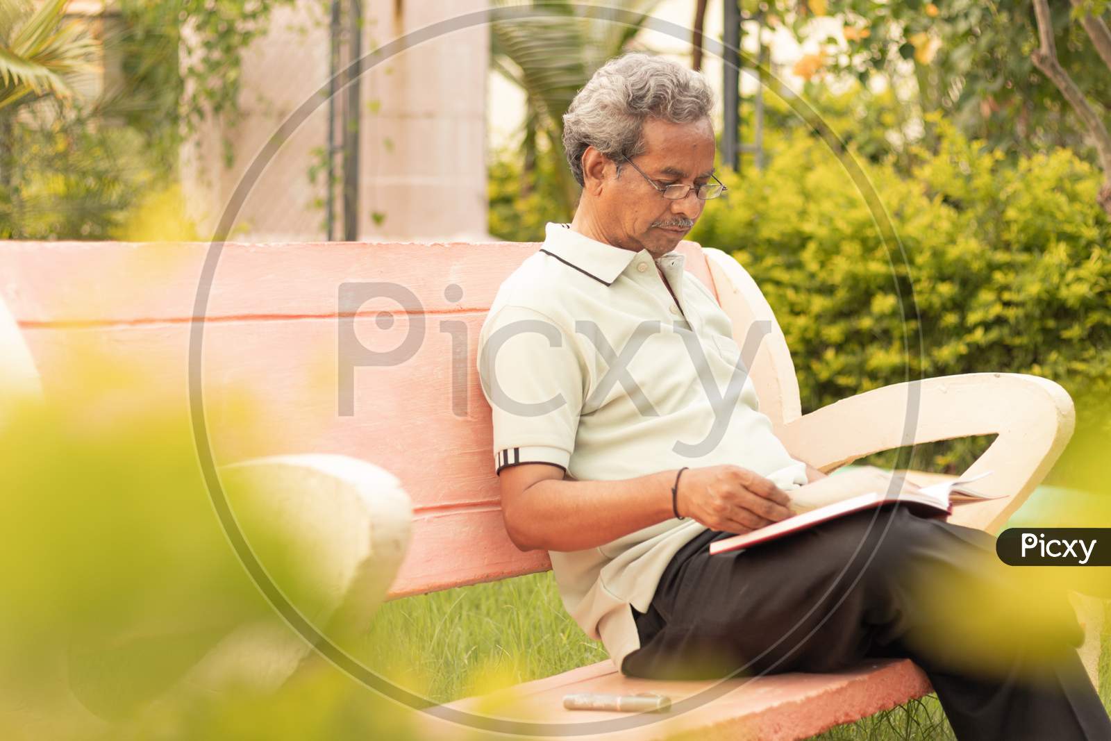 An old man or Elderly man reading a book in a Park