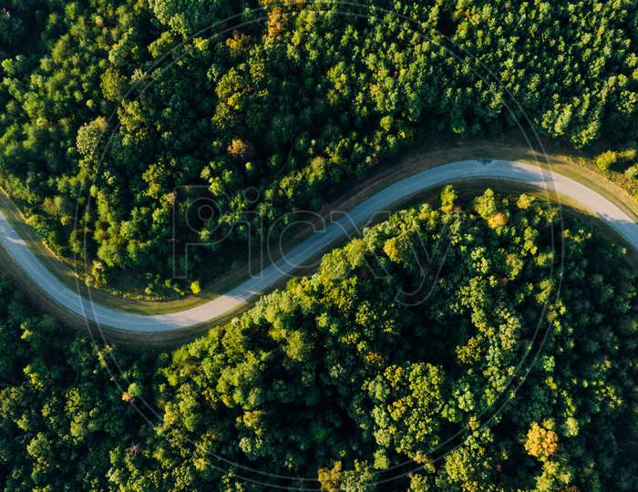 Aerial photo of the empty meandering road in between forest.