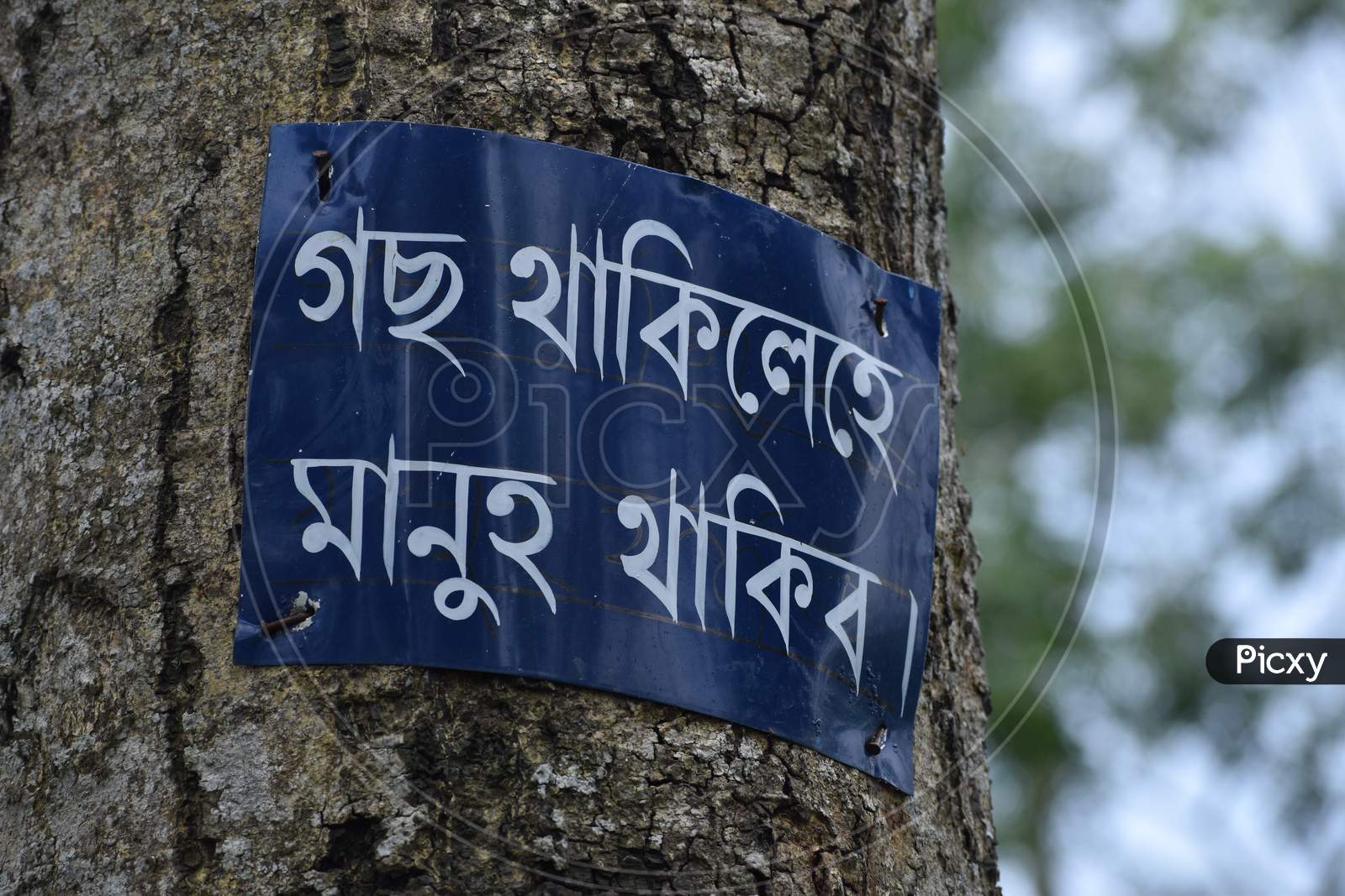 a sign in Assamese language in a tree garden