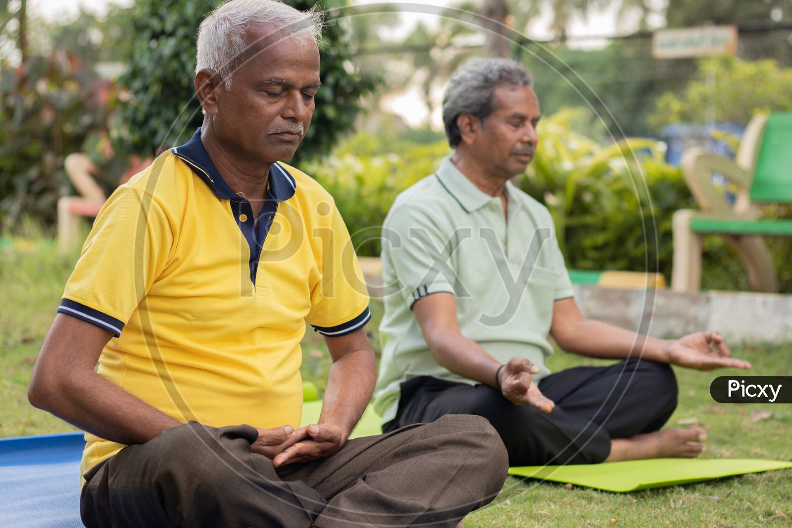 A Couple Of Elderly Man Or Old Men'S Doing Yoga, Fitness Routine At Outdoors