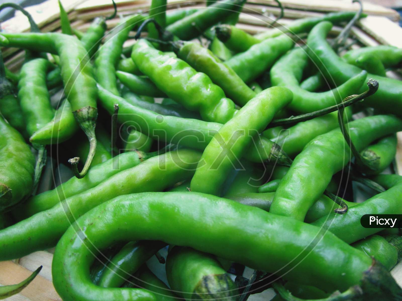 Green chillies , hari mirchi