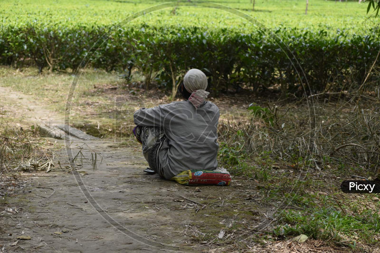 a tea garden lady labour is taking rest after long shift of work