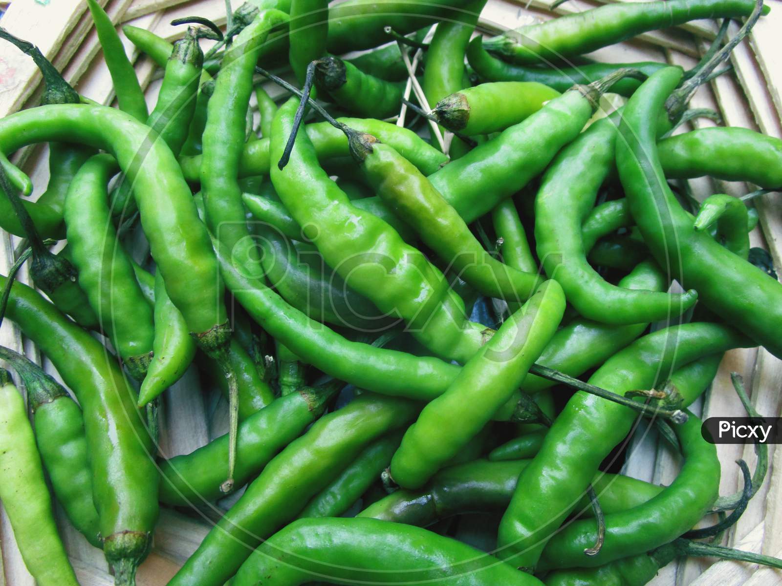 Hari mirch , green chillies , green chillies stock