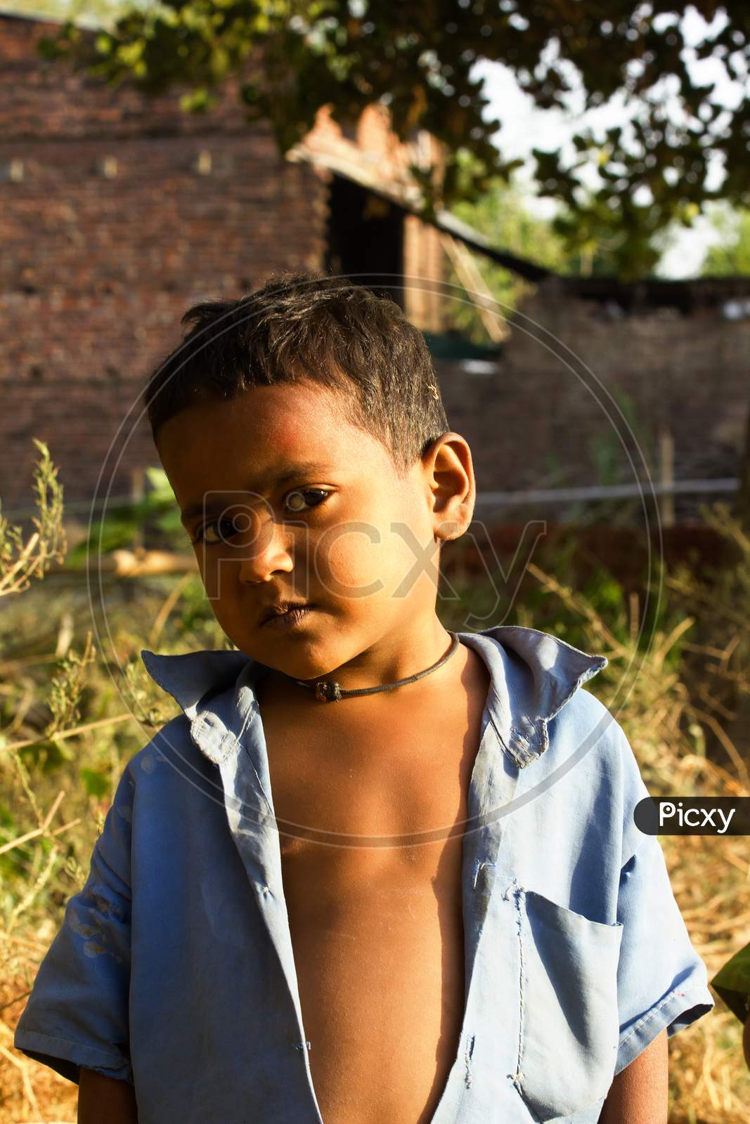 Portrait of a Young Rural Indian Boy