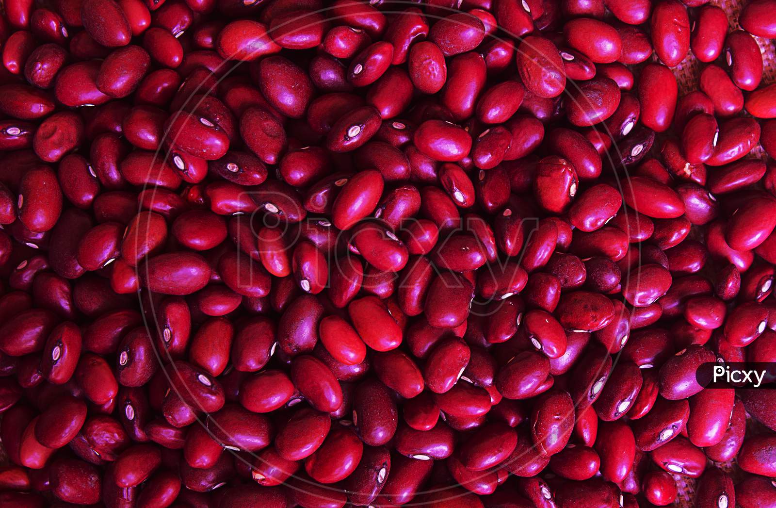 Close up shot of Red Coloured Seeds