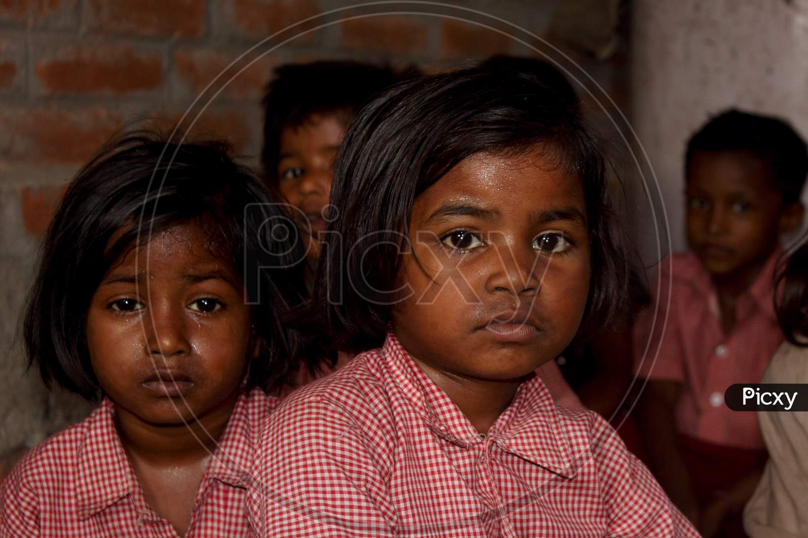 Portrait of Rural Kids in School Dress