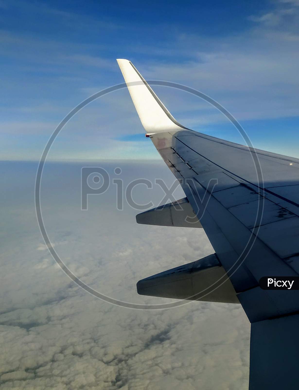 A Flight Wing through the Flight Window