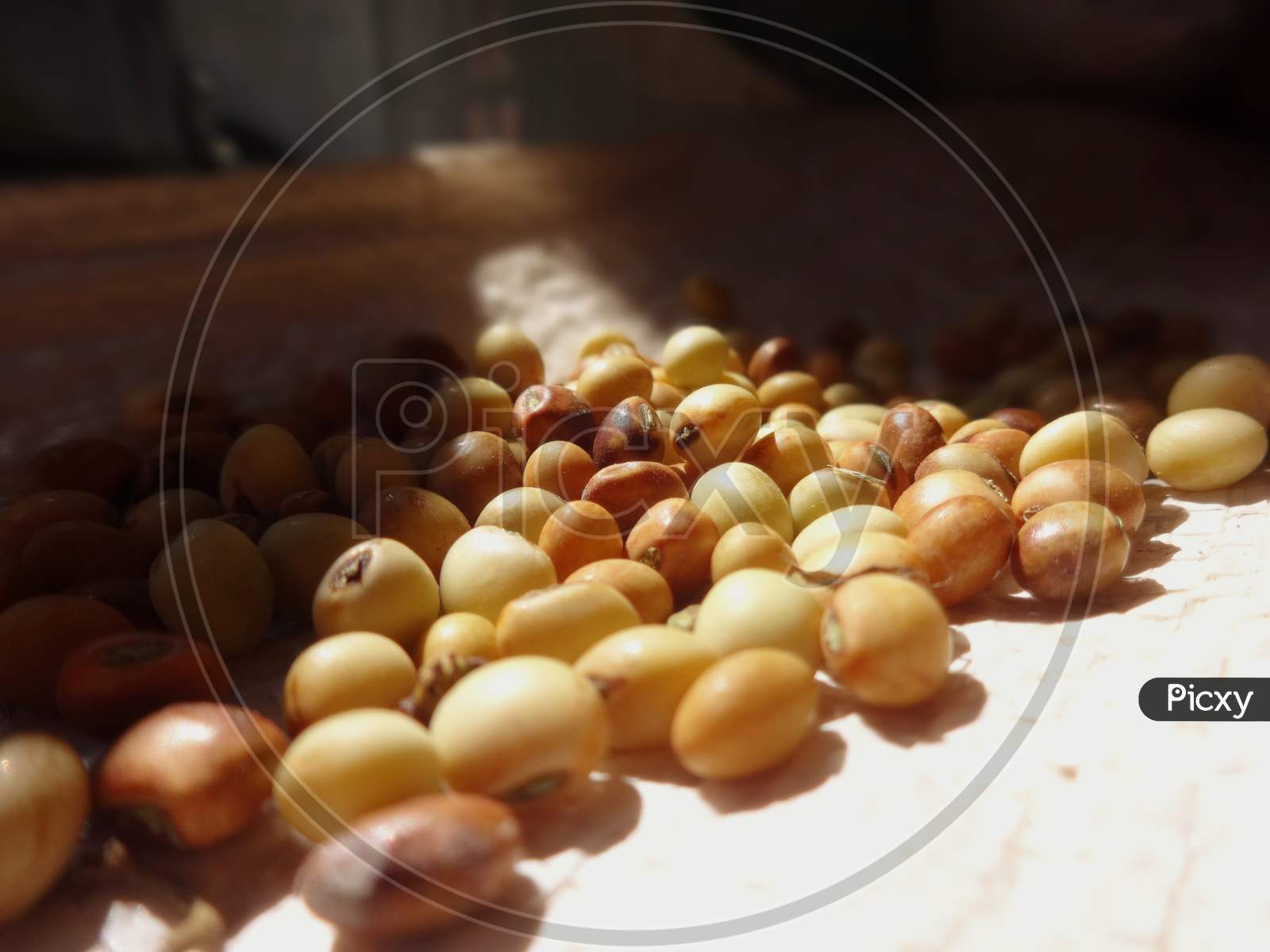 Boiled Pesta nut closeup Photography