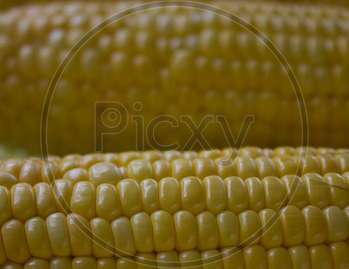 Close up shot of Sweet Corn