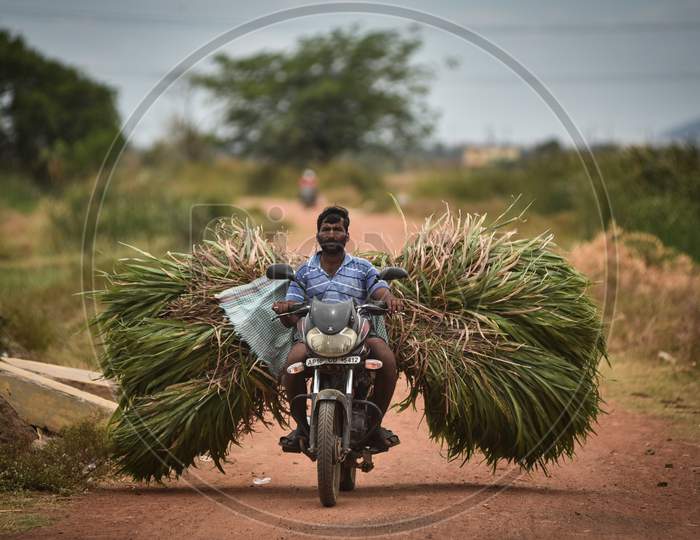 A farmer carries a heap of grass on a two-wheeler, during the fifth phase of coronavirus lockdown in Vijayawada.