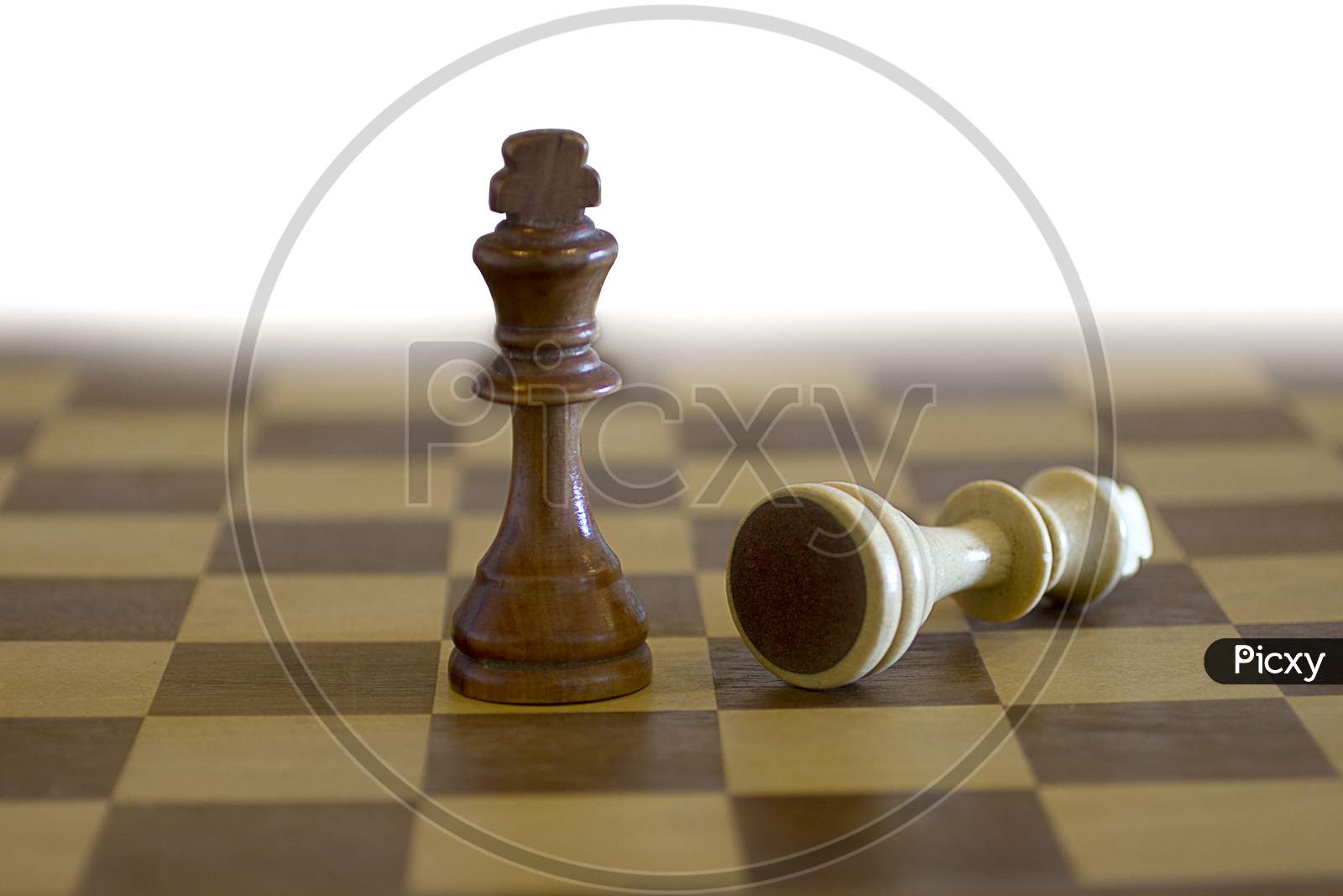Selective focus on Chess coins